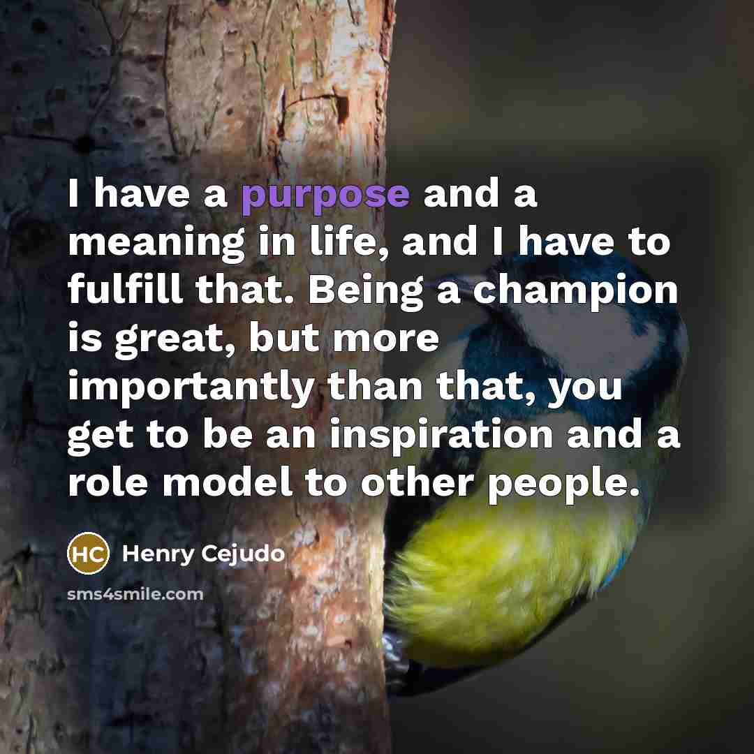 “I have a purpose and a meaning in life, and…” quote by Henry Cejudo
