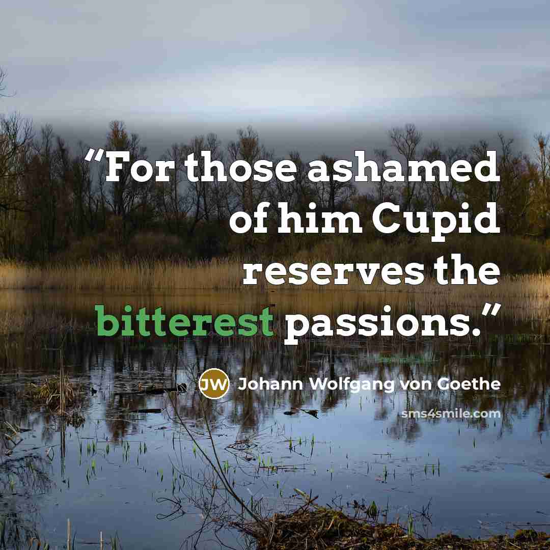 “For those ashamed of him Cupid reserves the bitterest passions.” quote by Johann Wolfgang von Goethe