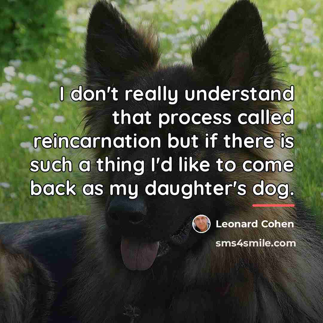 “I don't really understand that process called reincarnation but if…” quote by Leonard Cohen
