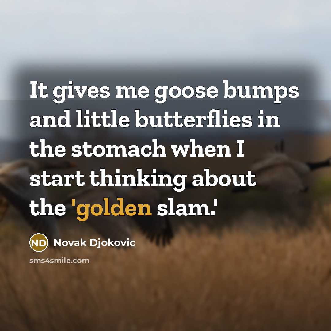“It gives me goose bumps and little butterflies in the…” quote by Novak Djokovic