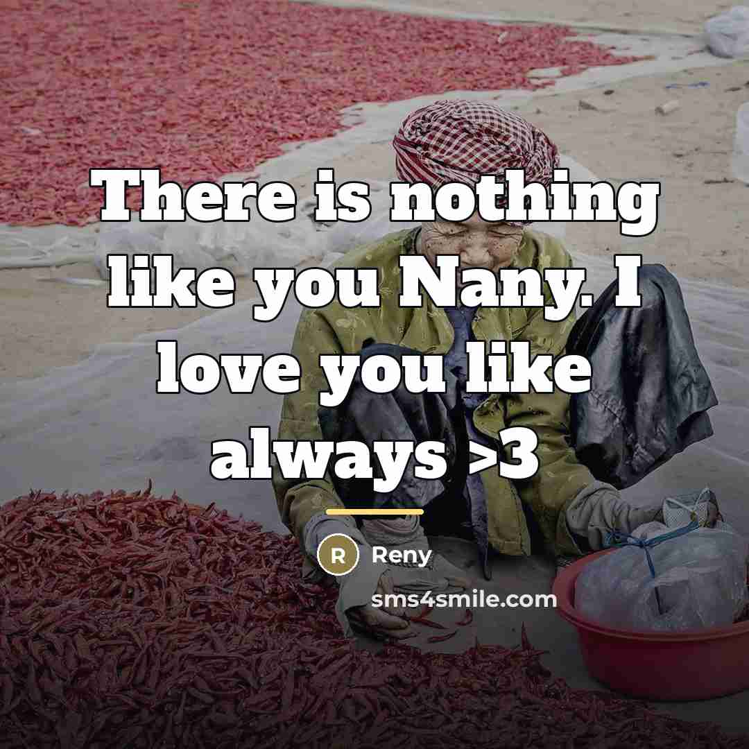 “There is nothing like you Nany. I love you like…” quote by Reny
