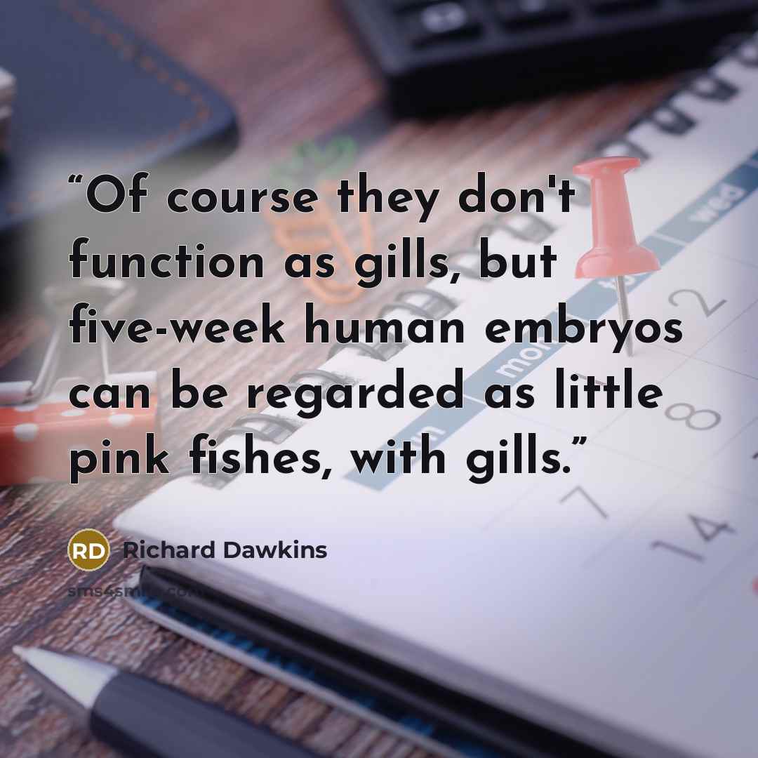 “Of course they don't function as gills, but five-week human embryos can be regarded as little pink fishes, with gills.” quote by Richard Dawkins