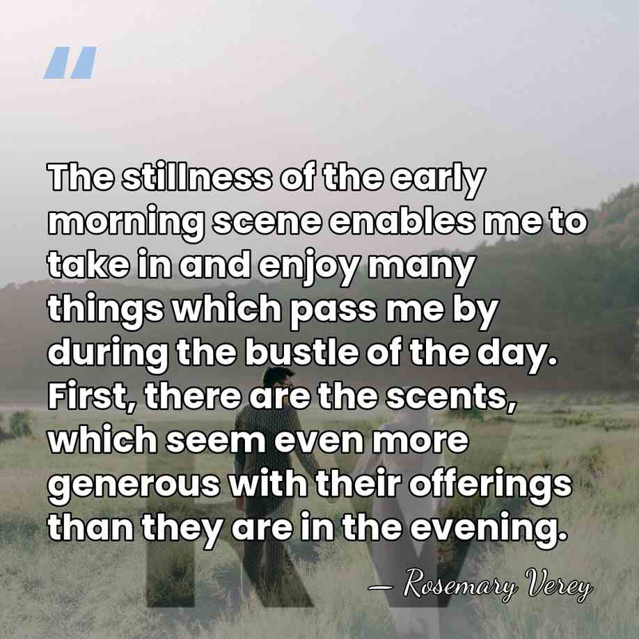 The stillness of the early morning scene enables me to take in&hellip; - Rosemary Verey