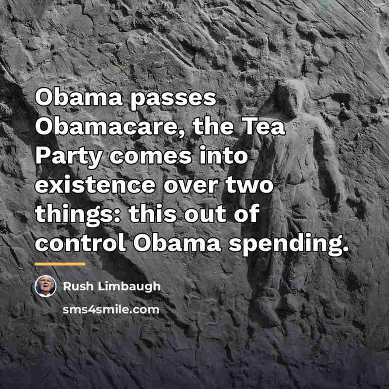 “Obama passes Obamacare, the Tea Party comes into existence over…” quote by Rush Limbaugh