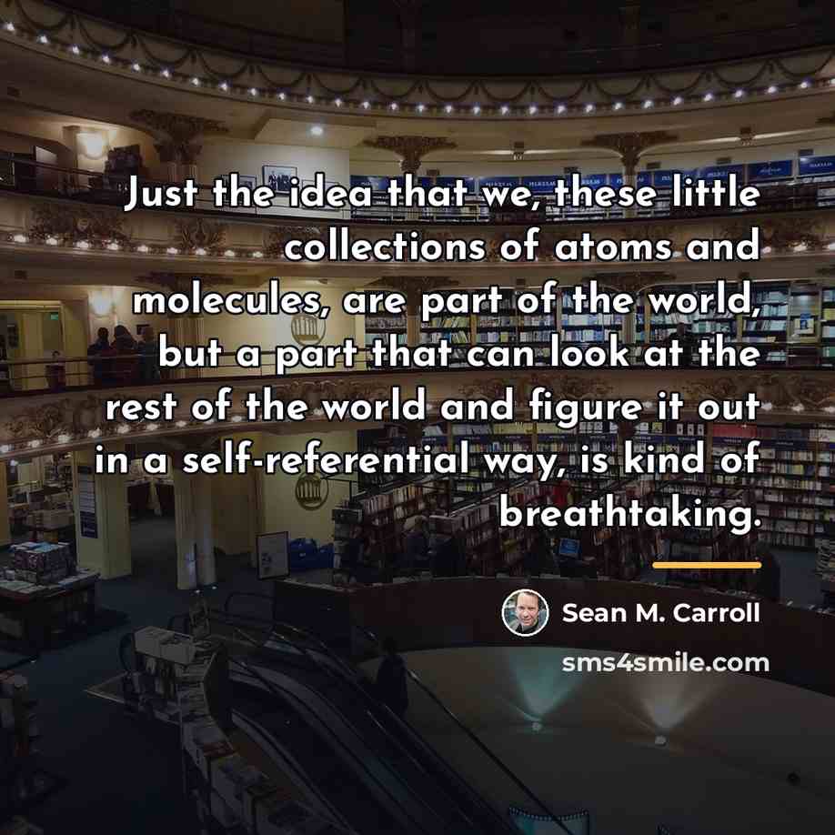 “Just the idea that we, these little collections of atoms…” quote by Sean M. Carroll