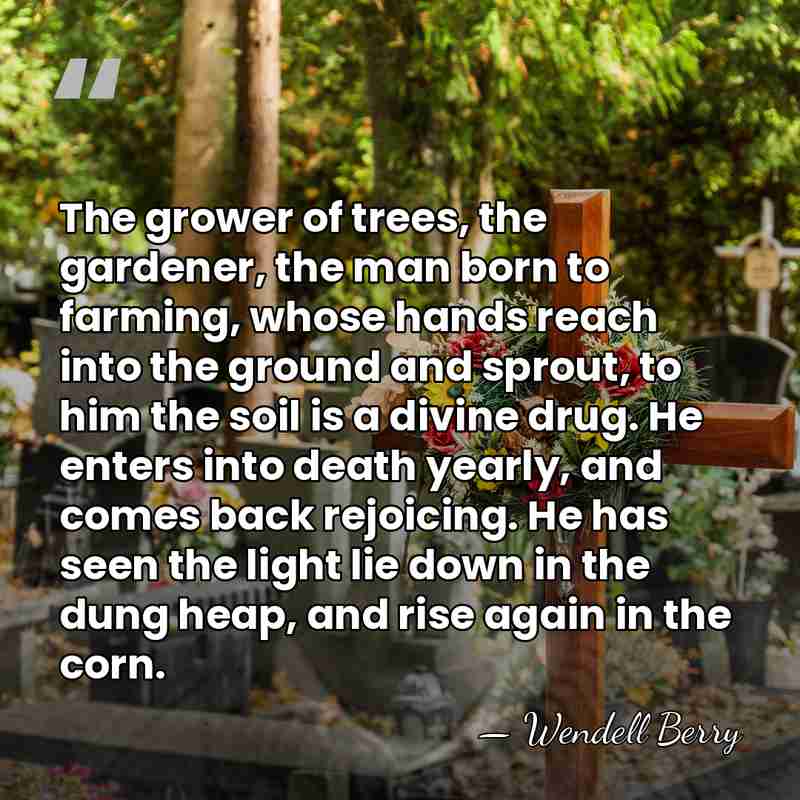 The grower of trees, the gardener, the man born to farming, whose&hellip; - Wendell Berry