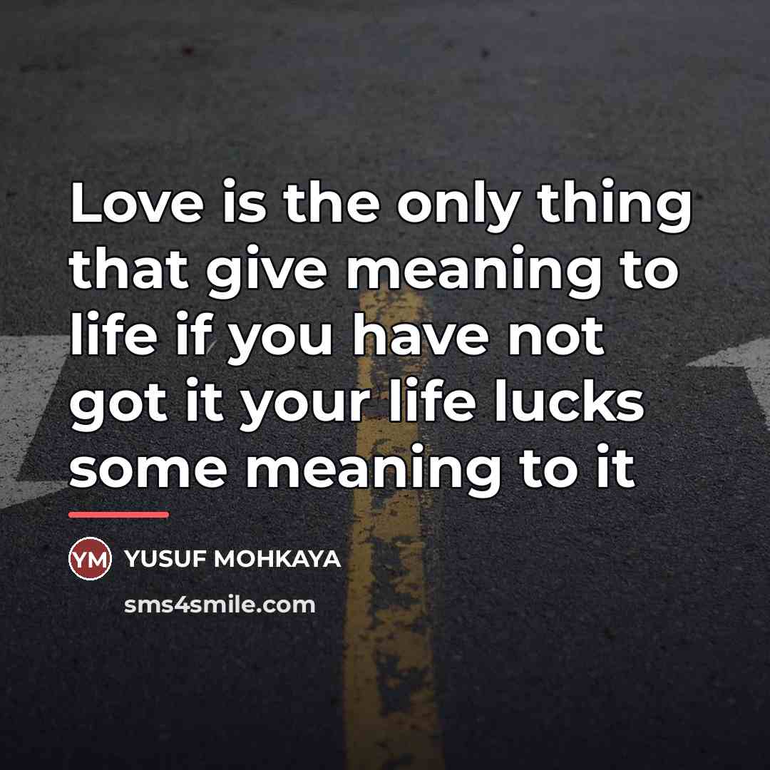 “Love is the only thing that give meaning to life…” quote by Yusuf Mohkaya
