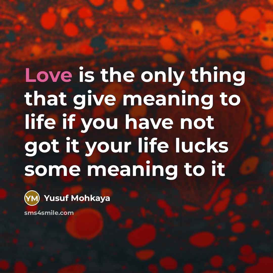 “Love is the only thing that give meaning to life if you have not got it your life lucks some meaning to it” quote by Yusuf Mohkaya