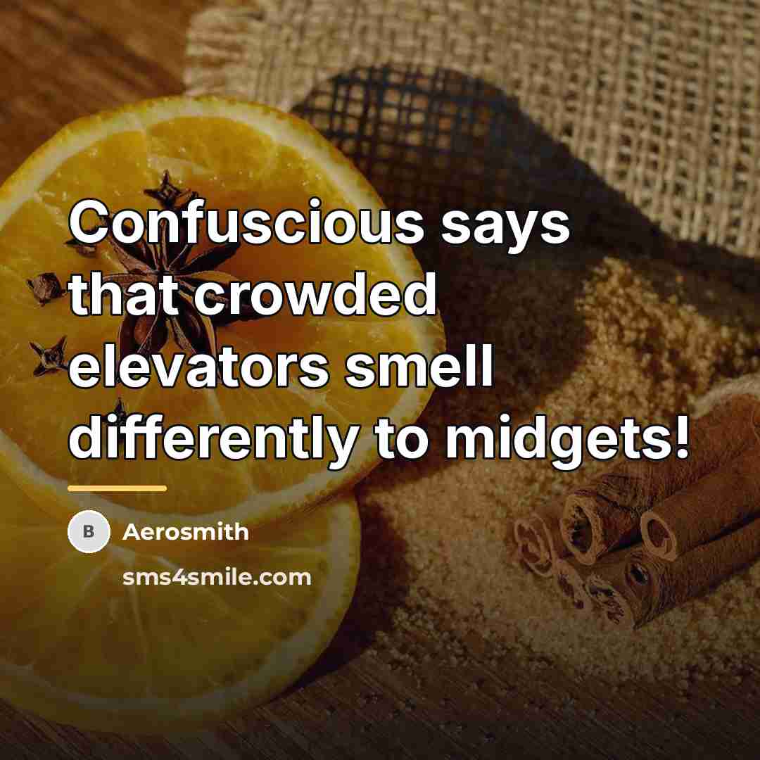 “Confuscious says that crowded elevators smell differently to midgets!…” quote by Aerosmith