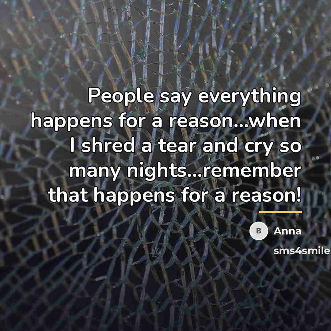“People say everything happens for a reason...when I shred a…” quote by Anna