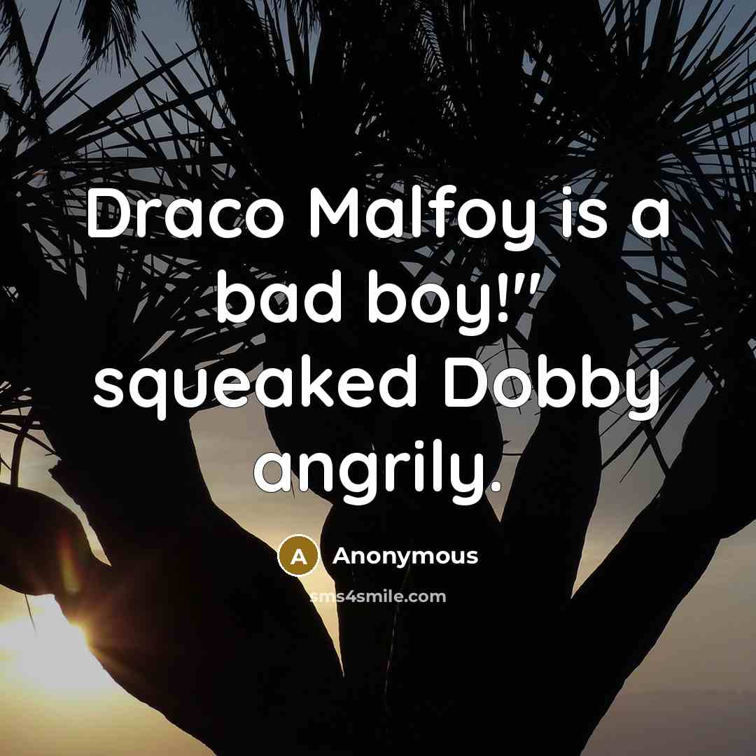 “Draco Malfoy is a bad boy!" squeaked Dobby angrily.…” quote by Anonymous