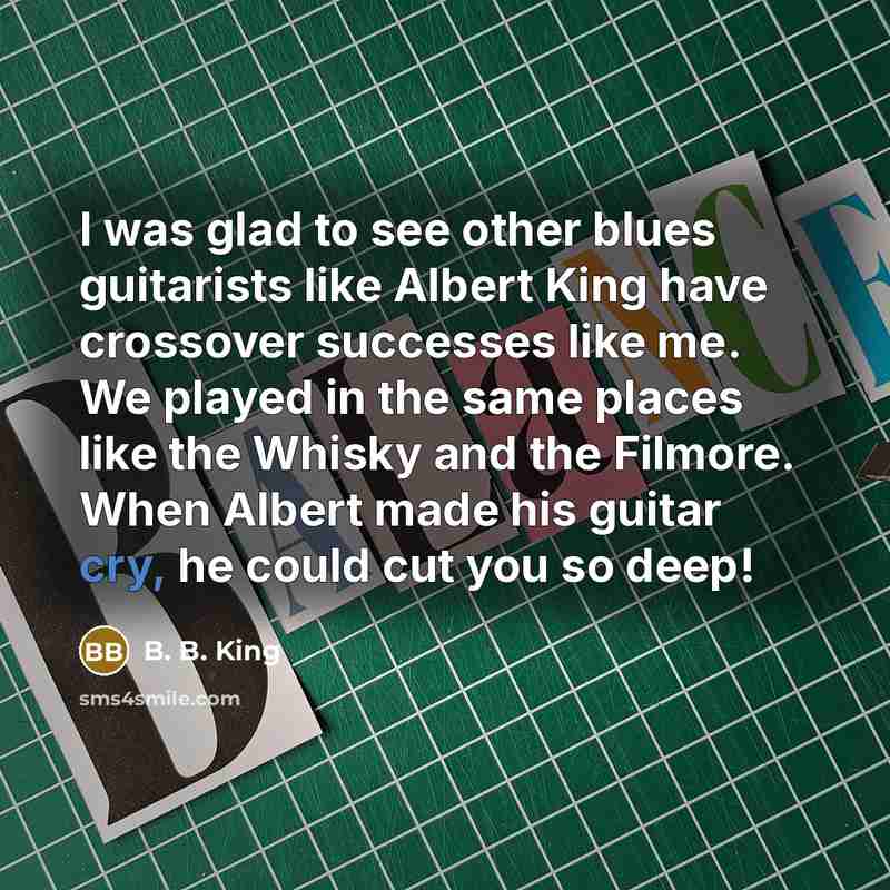 “I was glad to see other blues guitarists like Albert…” quote by B. B. King