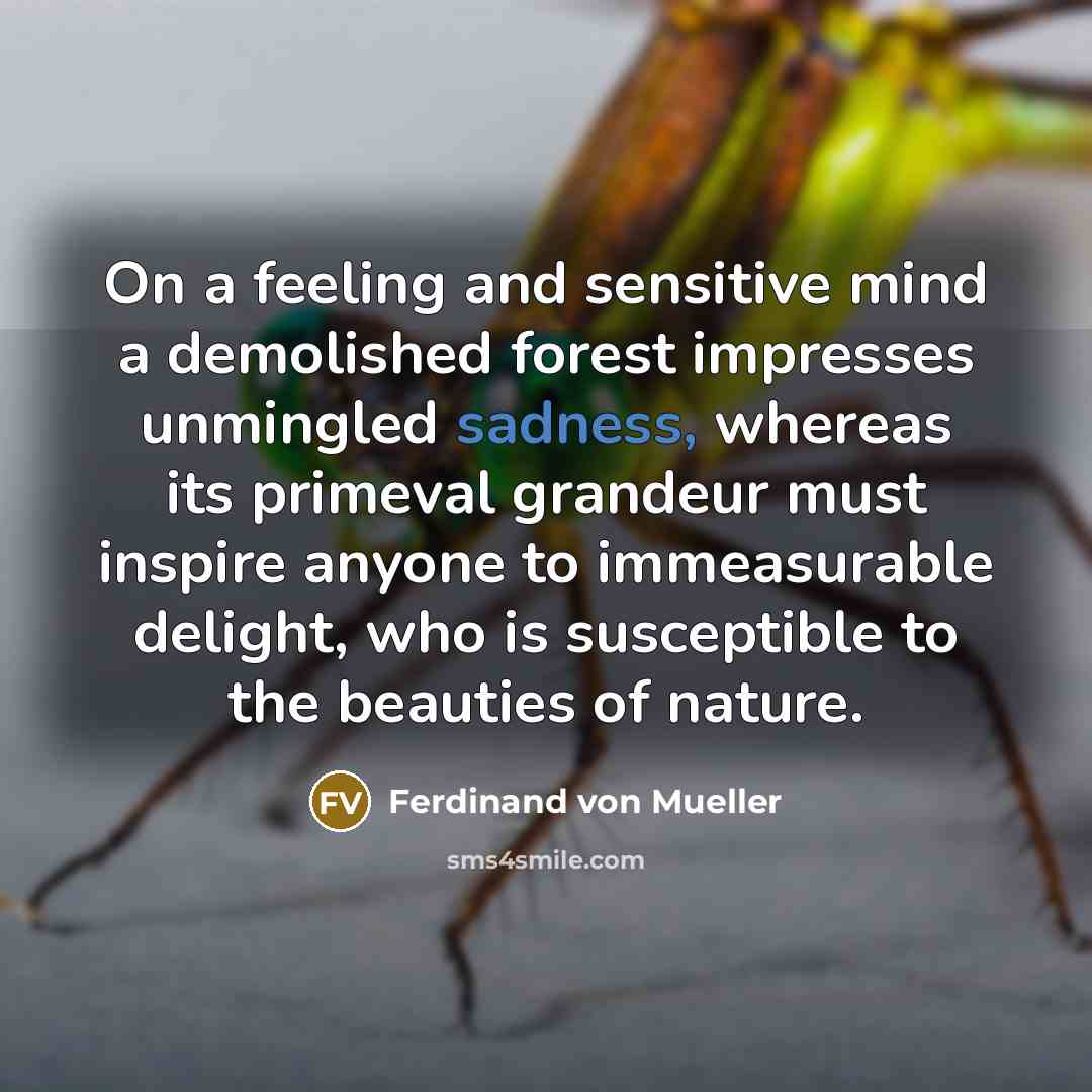 “On a feeling and sensitive mind a demolished forest impresses…” quote by Ferdinand von Mueller
