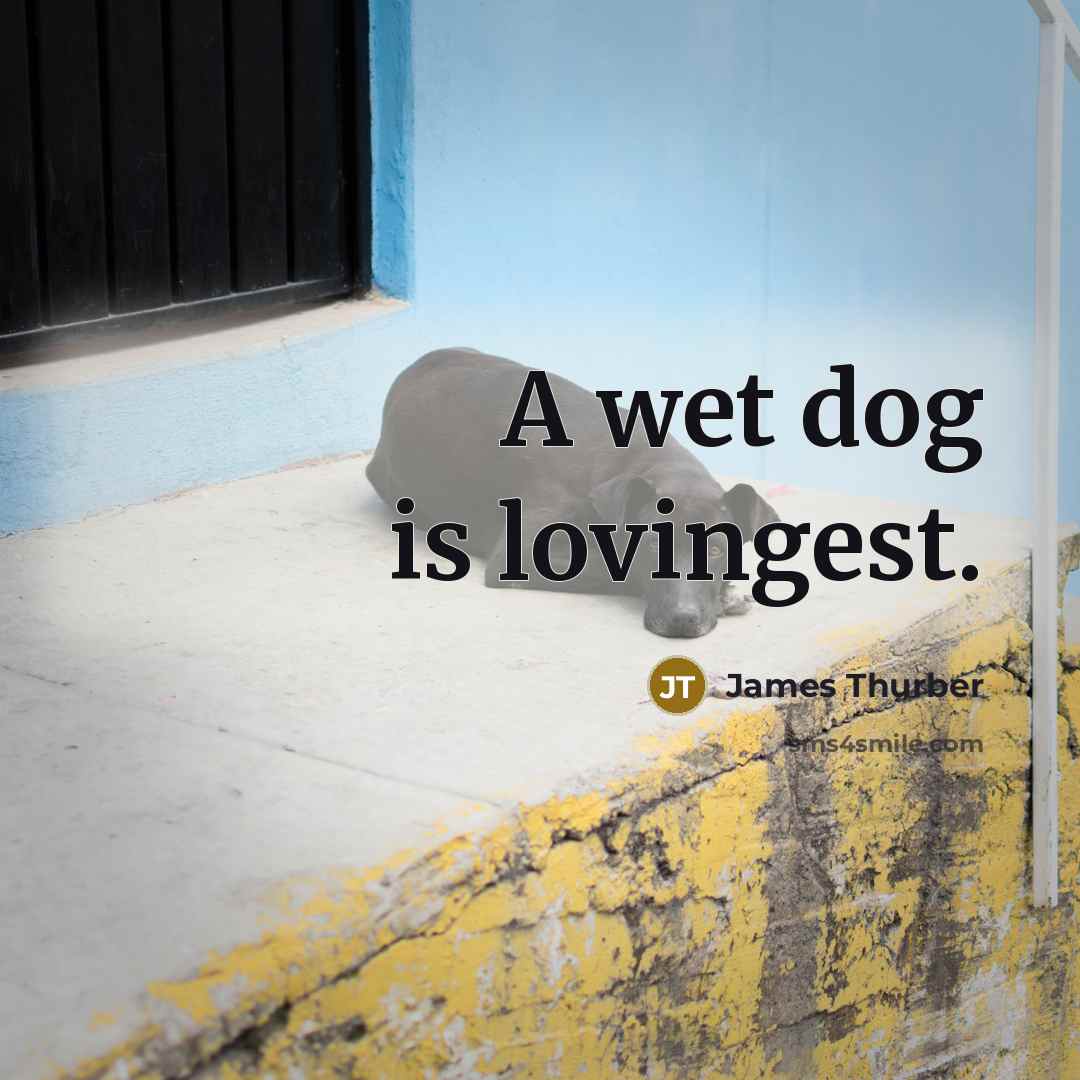 “A wet dog is lovingest.…” quote by James Thurber
