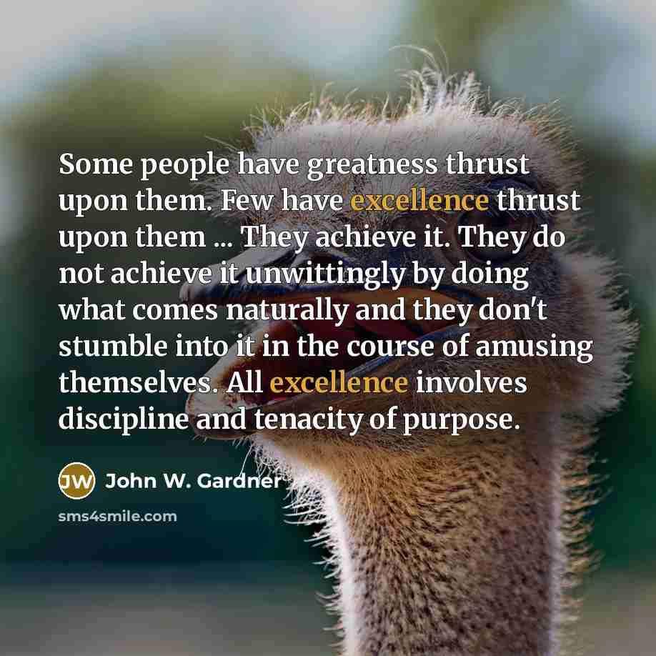 “Some people have greatness thrust upon them. Few have excellence…” quote by John W. Gardner