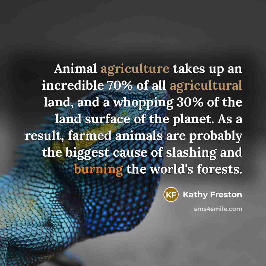 “Animal agriculture takes up an incredible 70% of all agricultural…” quote by Kathy Freston