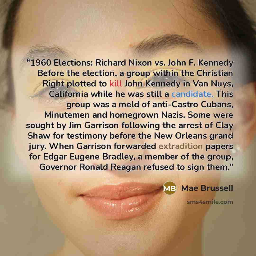 “1960 Elections: Richard Nixon vs. John F. Kennedy Before the election, a group within the Christian Right plotted to kill John Kennedy in Van Nuys, California while he was still a candidate. This group was a meld of anti-Castro Cubans, Minutemen and homegrown Nazis. Some were sought by Jim…” quote by Mae Brussell