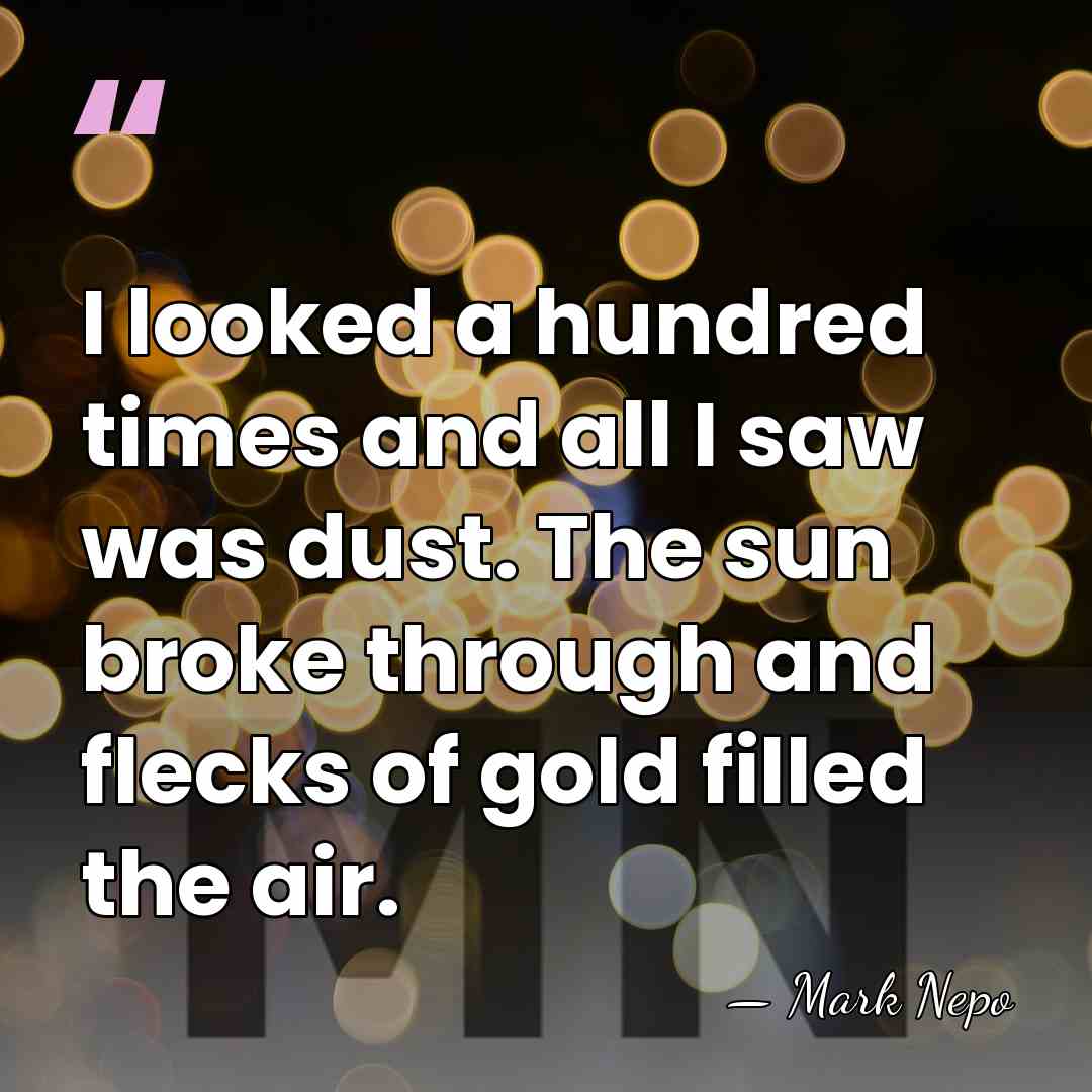 I looked a hundred times and all I saw was dust. The&hellip; - Mark Nepo