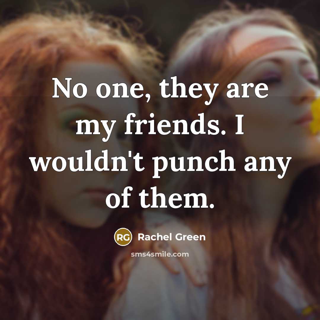 “No one, they are my friends. I wouldn't punch any…” quote by Rachel Green