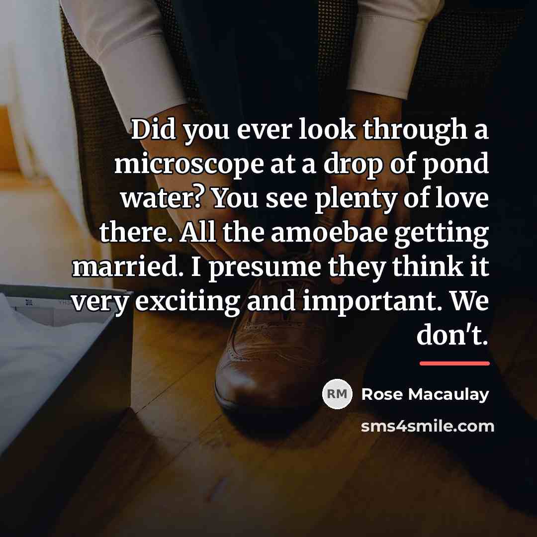 “Did you ever look through a microscope at a drop…” quote by Rose Macaulay