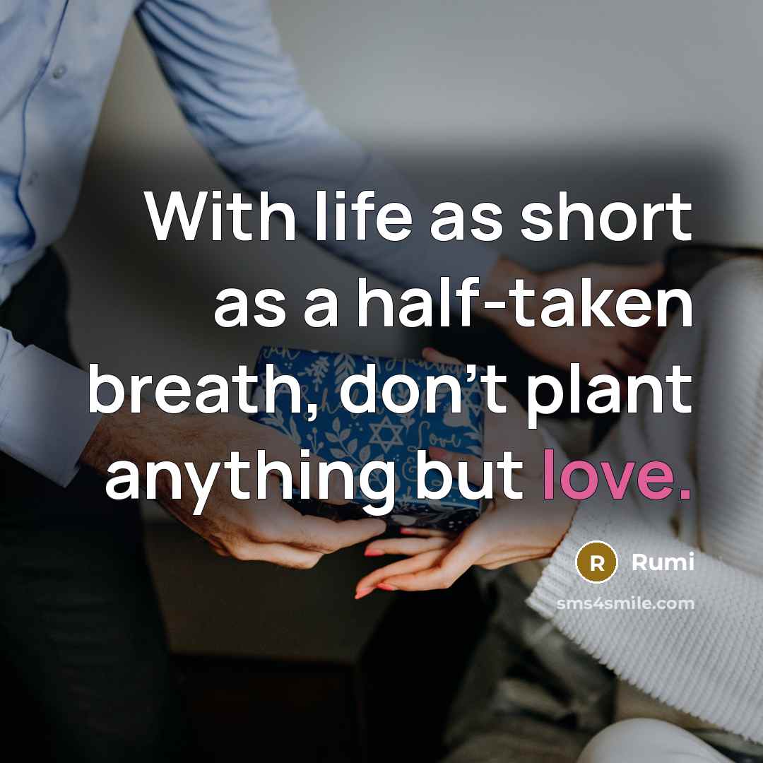 “With life as short as a half-taken breath, don't plant anything but love.” quote by Rumi