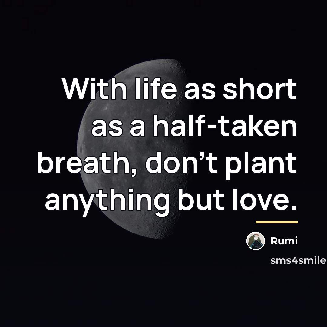 “With life as short as a half-taken breath, don't plant…” quote by Rumi