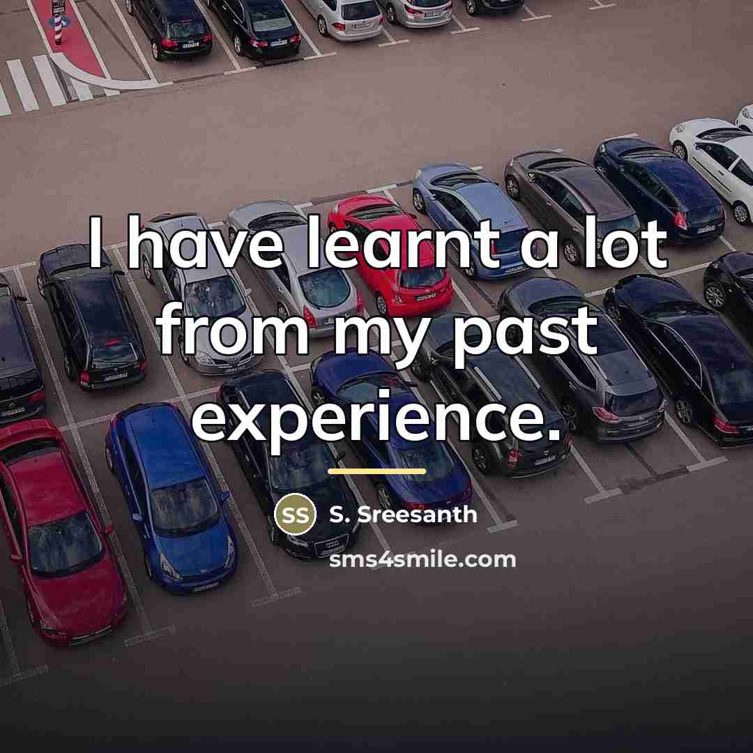 “I have learnt a lot from my past experience.…” quote by S. Sreesanth