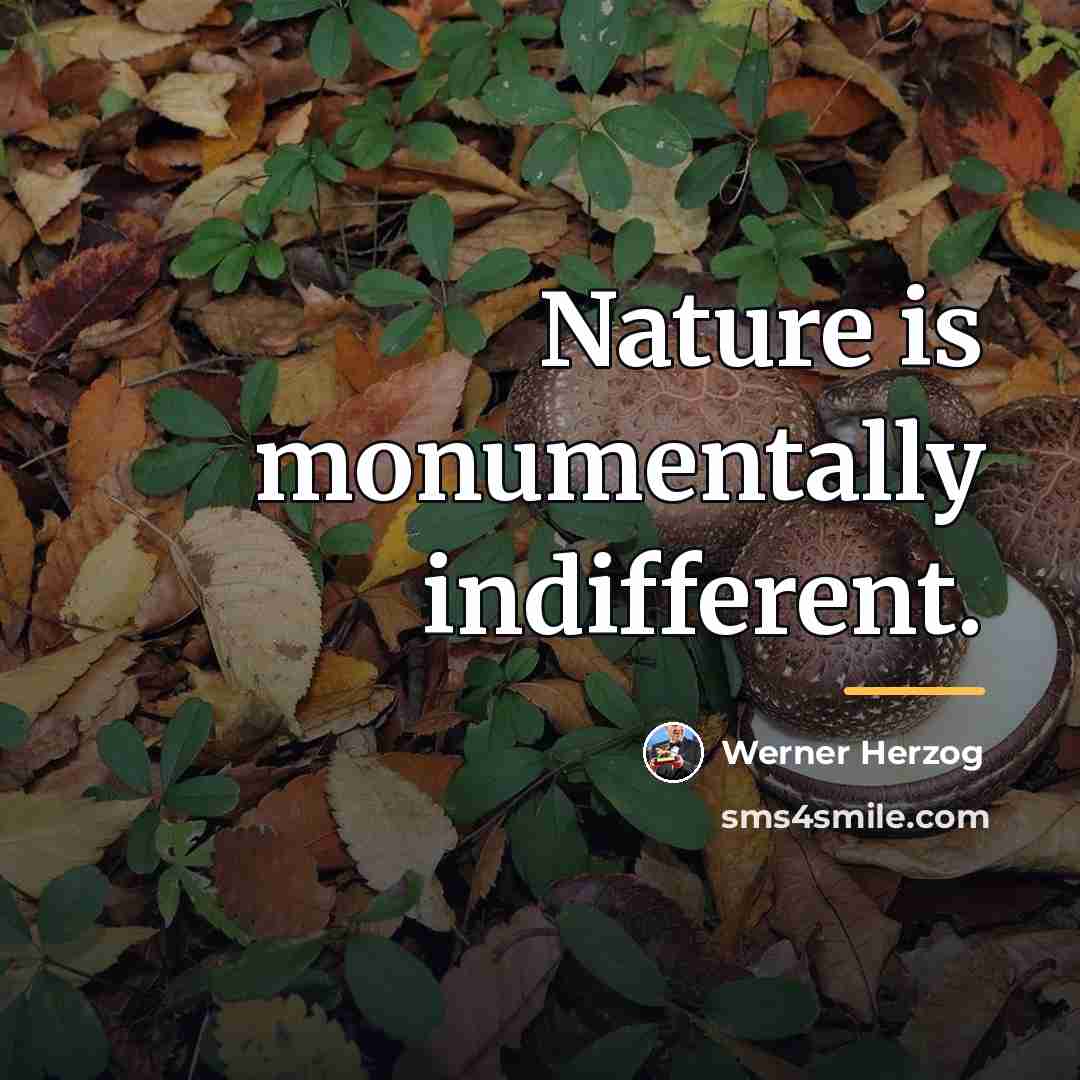“Nature is monumentally indifferent.…” quote by Werner Herzog