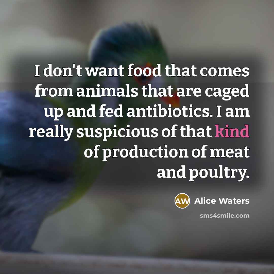 “I don't want food that comes from animals that are…” quote by Alice Waters