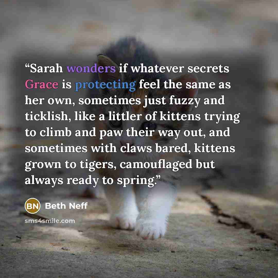 “Sarah wonders if whatever secrets Grace is protecting feel the same as her own, sometimes just fuzzy and ticklish, like a littler of kittens trying to climb and paw their way out, and sometimes with claws bared, kittens grown to tigers, camouflaged but always ready to spring.” quote by Beth Neff