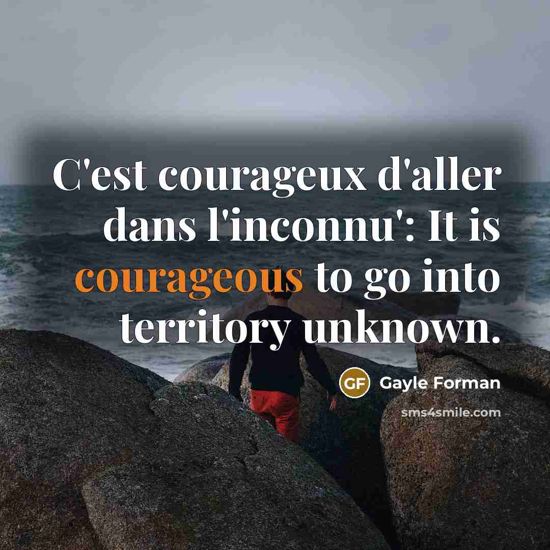 “C'est courageux d'aller dans l'inconnu': It is courageous to go…” quote by Gayle Forman