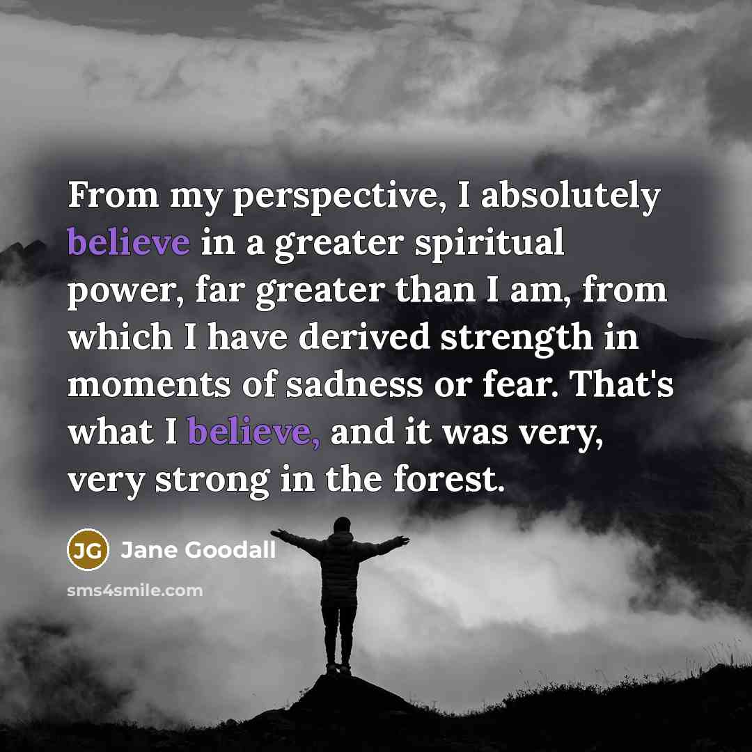 “From my perspective, I absolutely believe in a greater spiritual…” quote by Jane Goodall