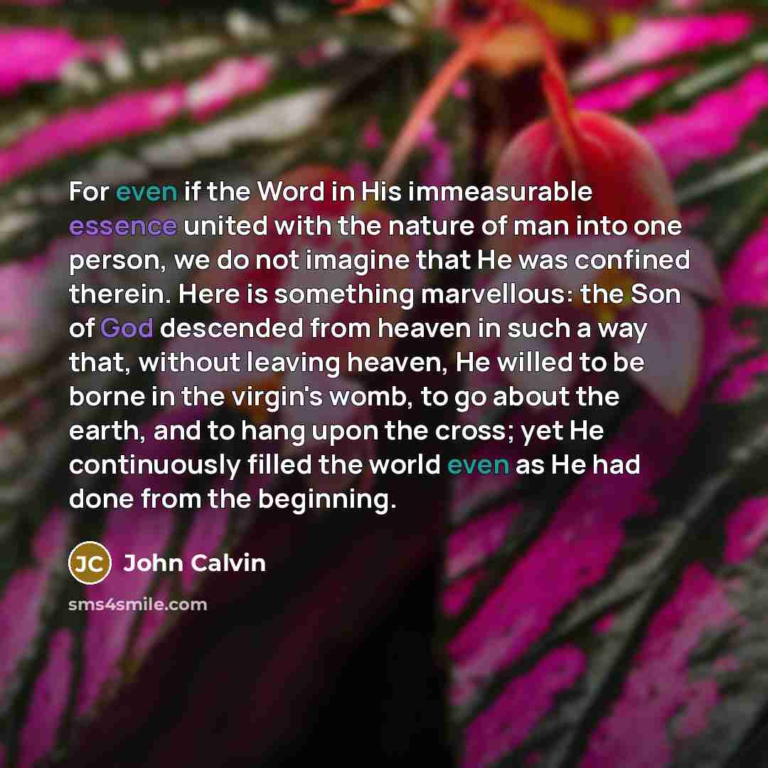 “For even if the Word in His immeasurable essence united…” quote by John Calvin