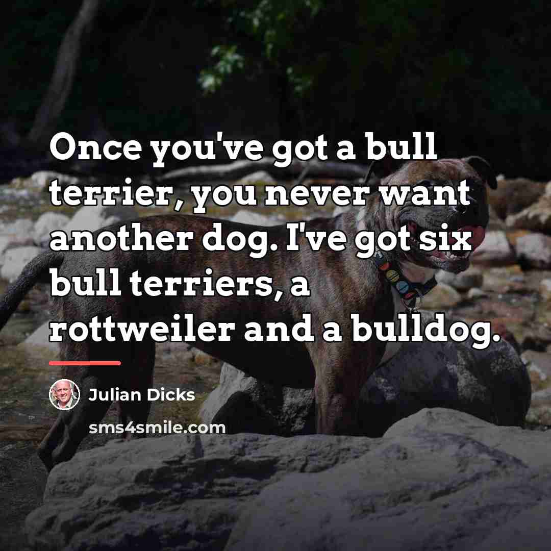 “Once you've got a bull terrier, you never want another…” quote by Julian Dicks