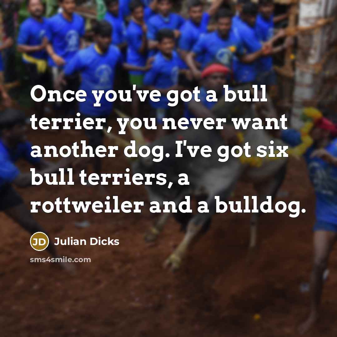 “Once you've got a bull terrier, you never want another dog. I've got six bull terriers, a rottweiler and a bulldog.” quote by Julian Dicks