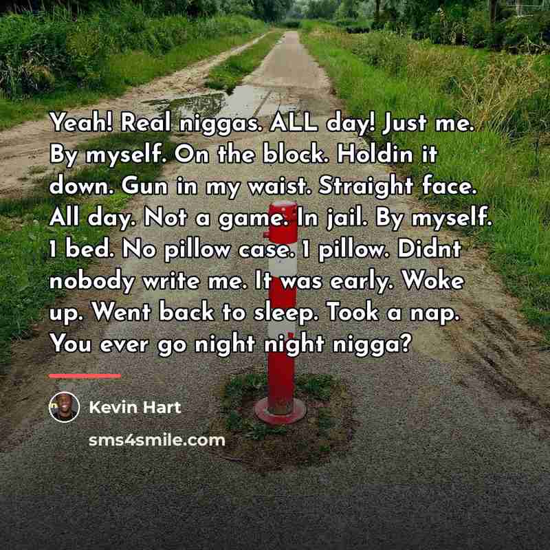 “Yeah! Real niggas. ALL day! Just me. By myself. On…” quote by Kevin Hart