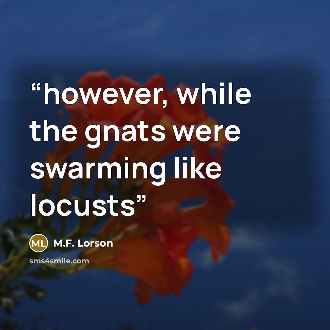 “however, while the gnats were swarming like locusts” quote by M.F. Lorson