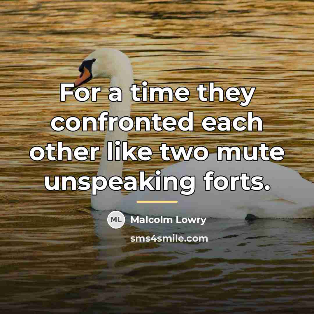 “For a time they confronted each other like two mute…” quote by Malcolm Lowry