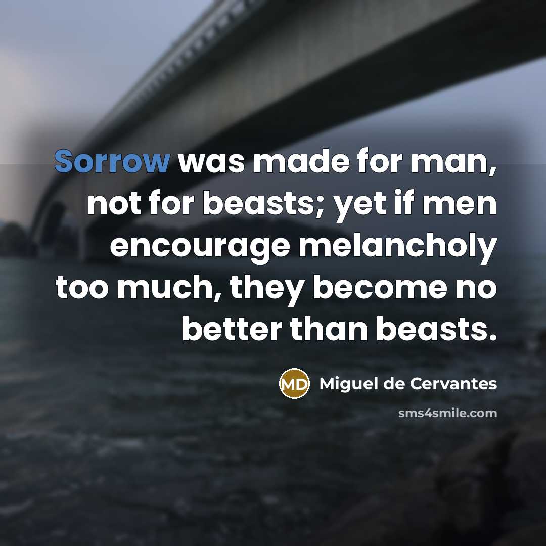 “Sorrow was made for man, not for beasts; yet if…” quote by Miguel de Cervantes