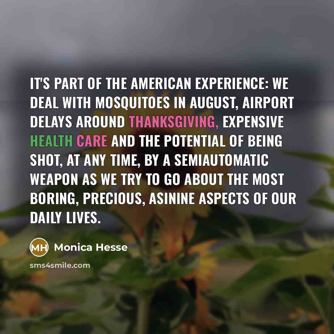 “It's part of the American experience: We deal with mosquitoes in August, airport delays around Thanksgiving, expensive health care and the potential of being shot, at any time, by a semiautomatic weapon as we try to go about the most boring, precious, asinine aspects of our daily lives.” quote by Monica Hesse