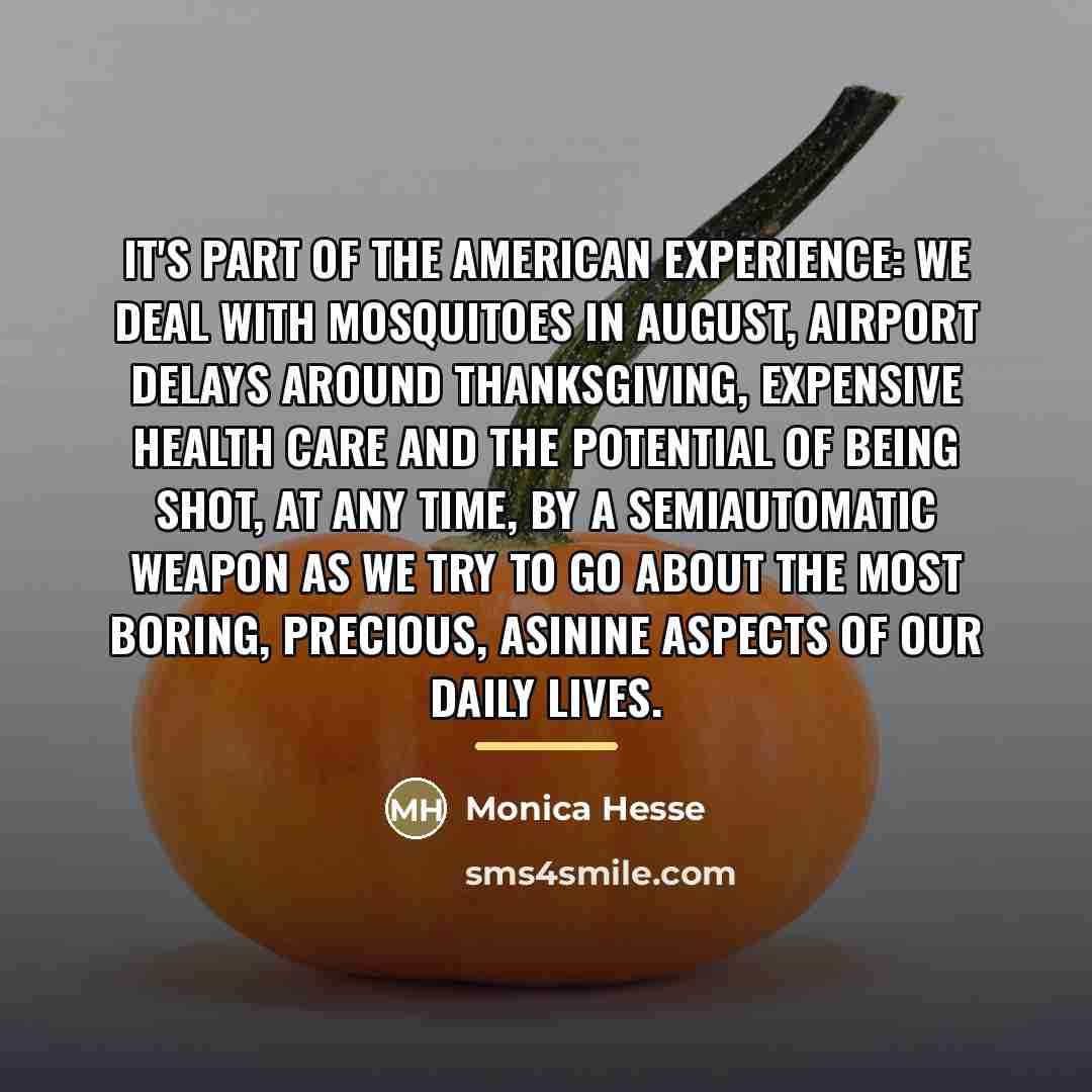 “It's part of the American experience: We deal with mosquitoes…” quote by Monica Hesse