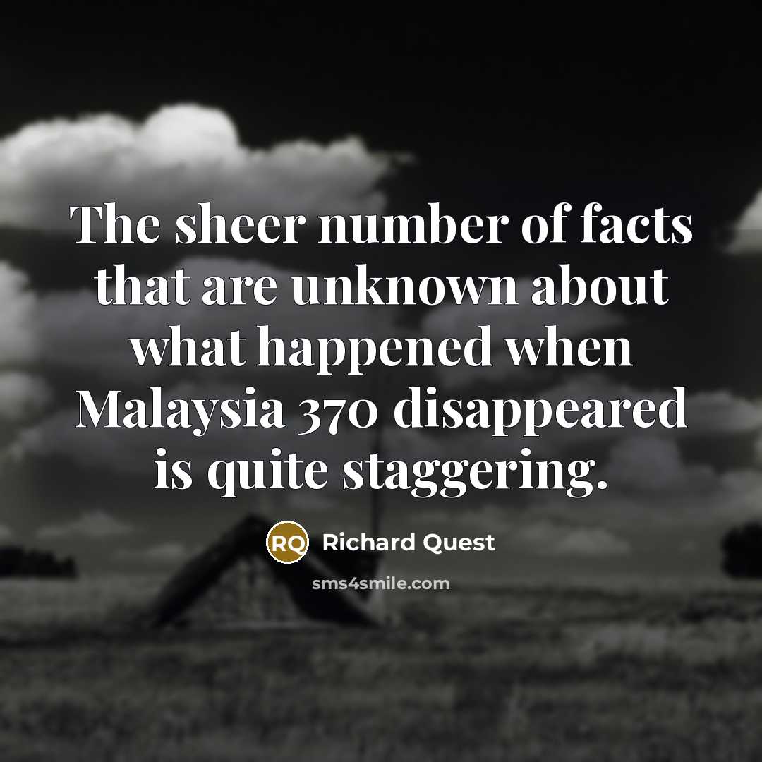 “The sheer number of facts that are unknown about what…” quote by Richard Quest