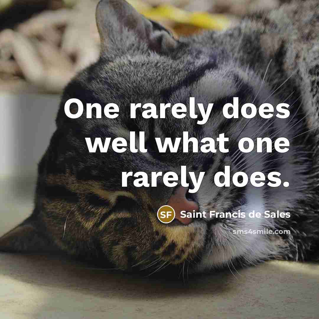 “One rarely does well what one rarely does.…” quote by Saint Francis de Sales