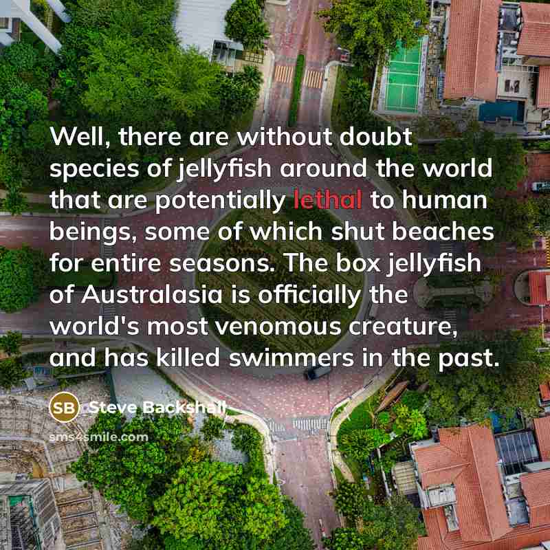 “Well, there are without doubt species of jellyfish around the…” quote by Steve Backshall