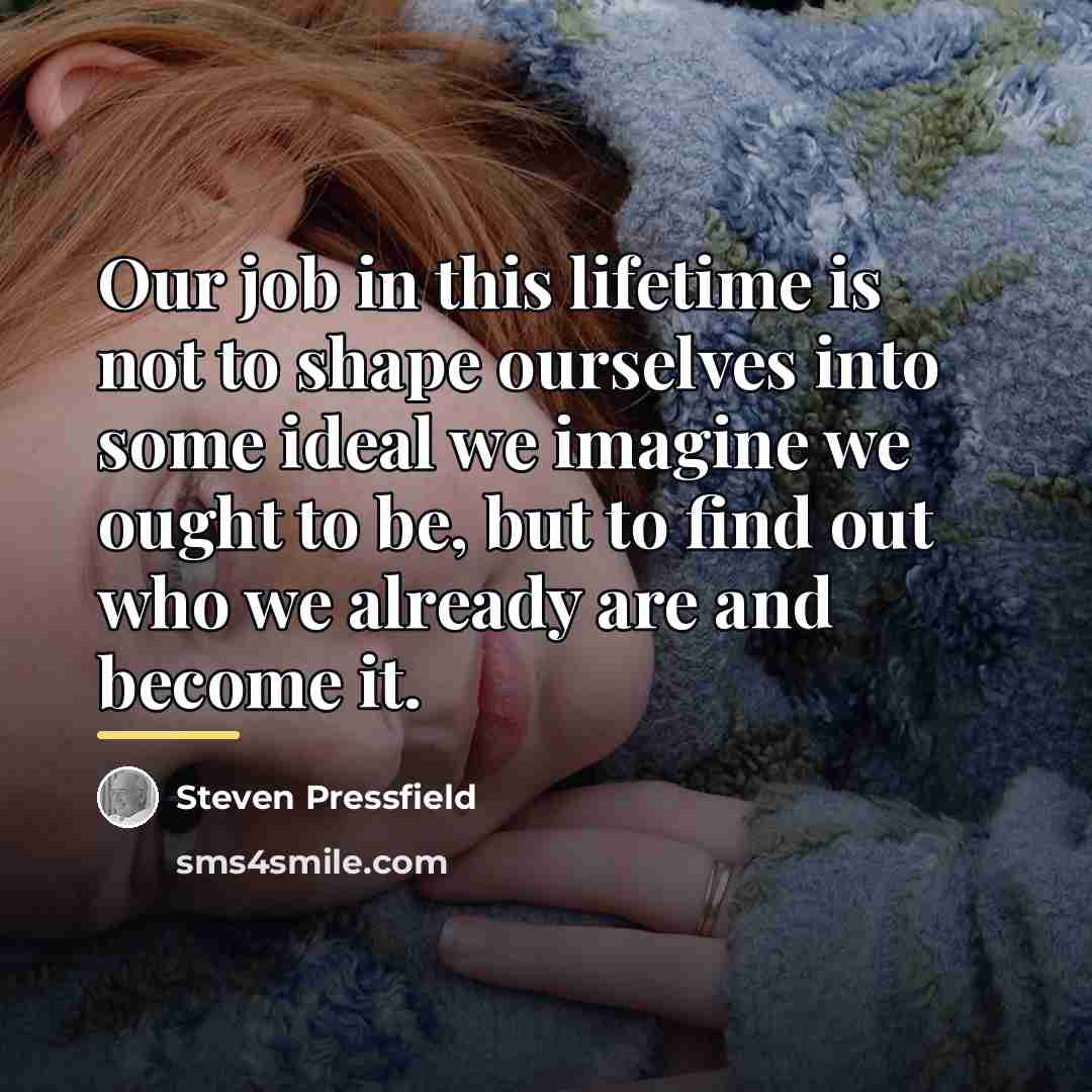 “Our job in this lifetime is not to shape ourselves…” quote by Steven Pressfield