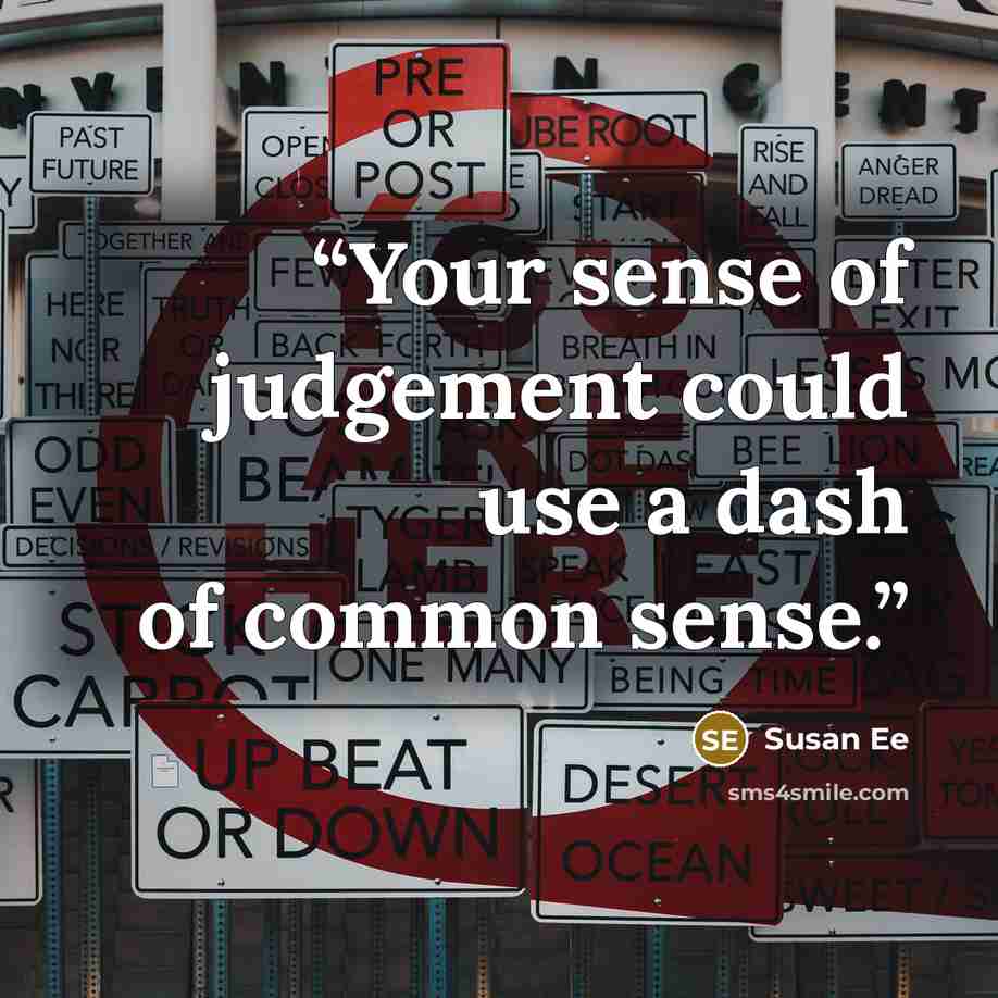 “Your sense of judgement could use a dash of common sense.” quote by Susan Ee