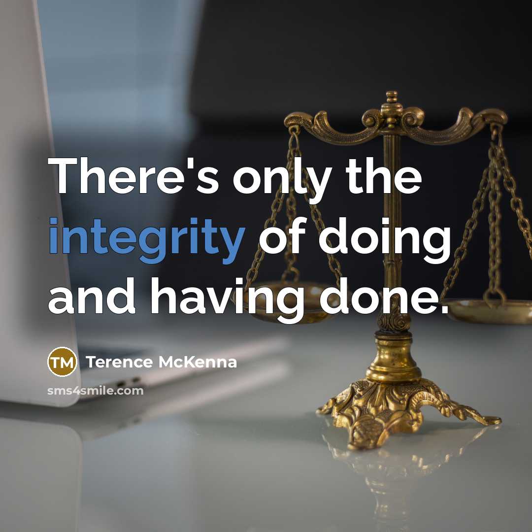 “There's only the integrity of doing and having done.…” quote by Terence McKenna