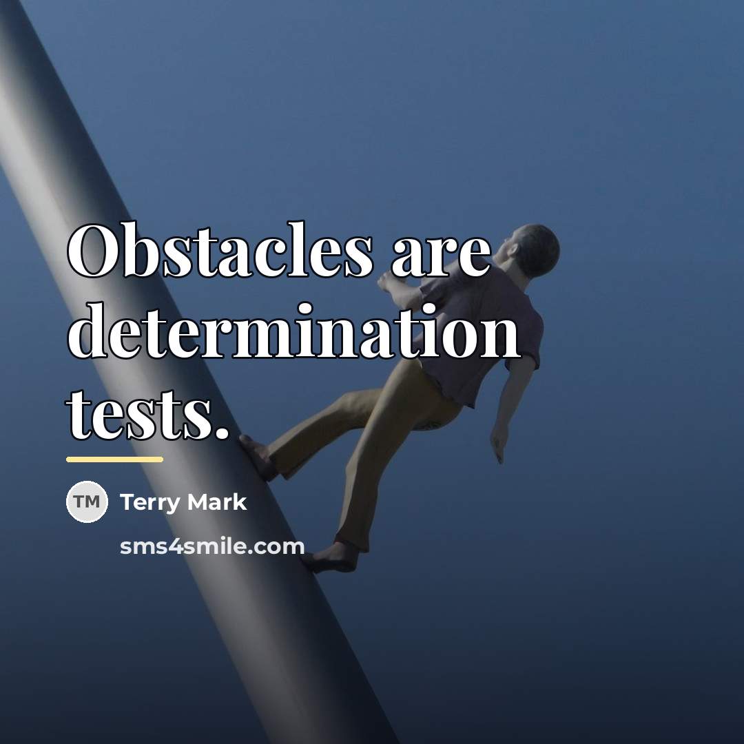 “Obstacles are determination tests.…” quote by Terry Mark