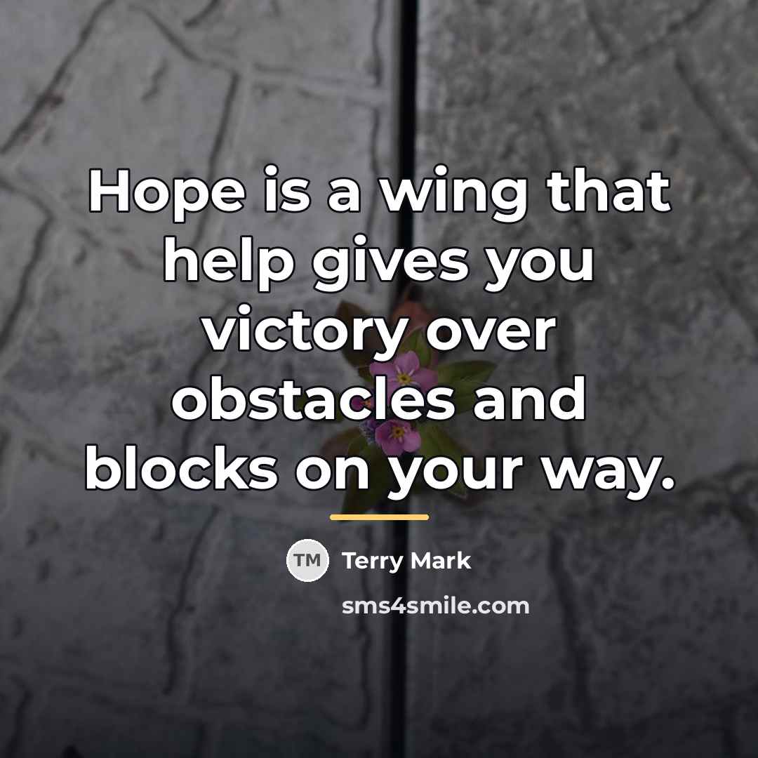 “Hope is a wing that help gives you victory over…” quote by Terry Mark