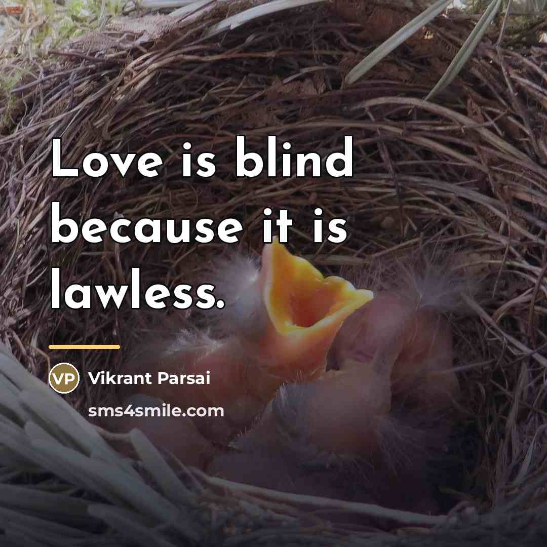 “Love is blind because it is lawless.…” quote by Vikrant Parsai